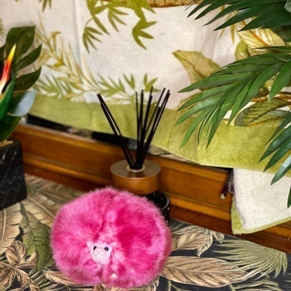 🌸Harry Potter Pygmy Puff 🧙🏼🌸💕